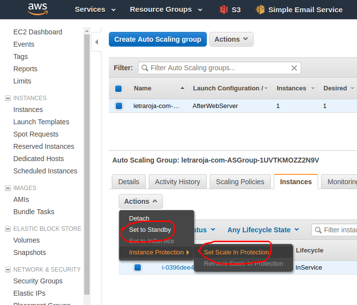 Amazon Auto Scaling Protection