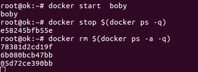 Docker delete all containers