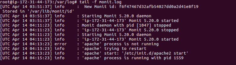 apapche2 not being monitored monit ubuntu