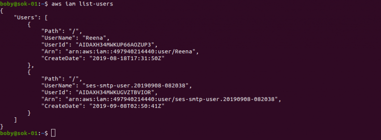 aws cli list my iam permissions
