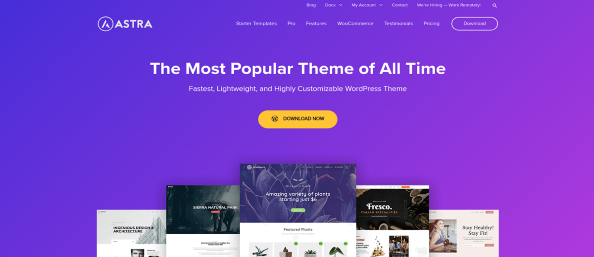 Best WordPress themes in 2021