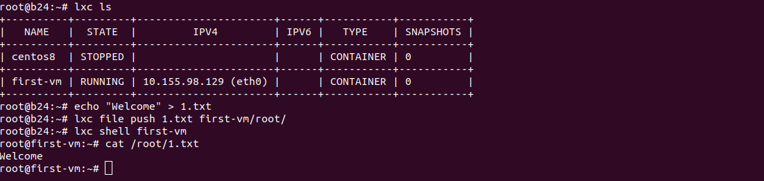 copy file to lxd container