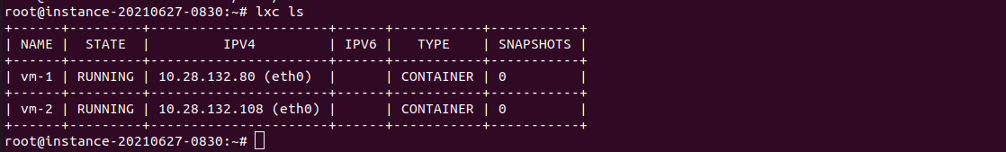 list lxd containers