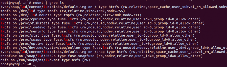 Identify LXD container