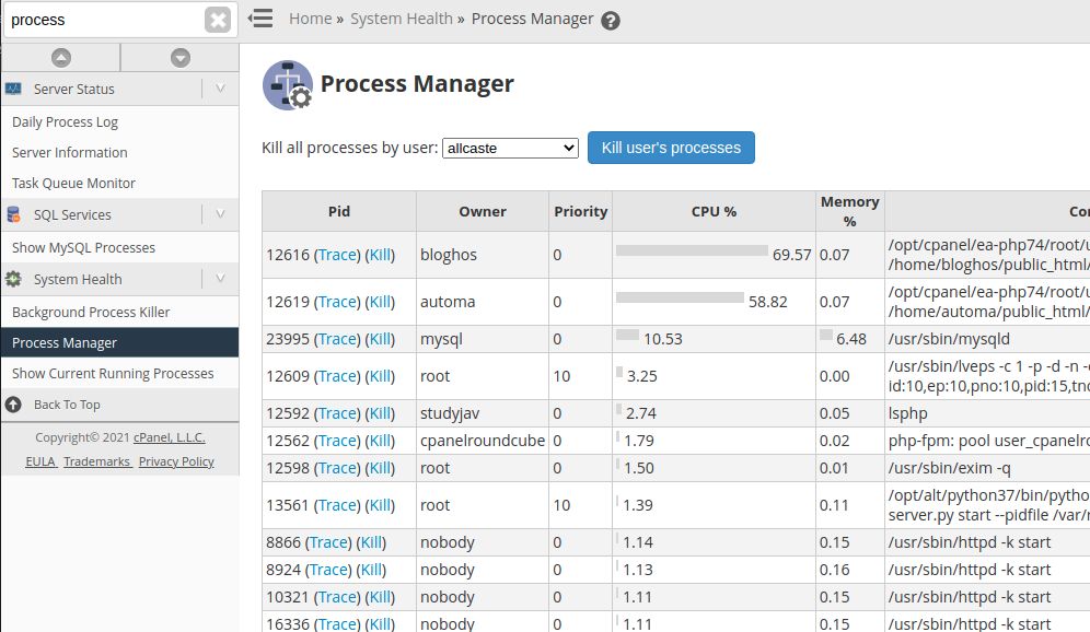 Cpanel Process Manager