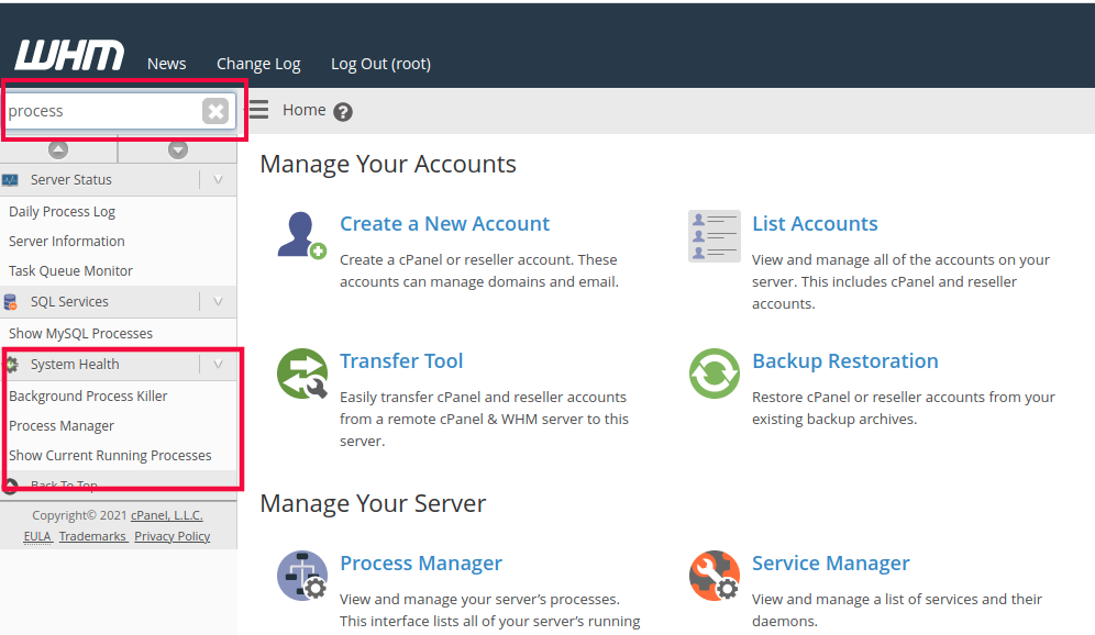 How To See Currently Running Processes in Cpanel/WHM Server